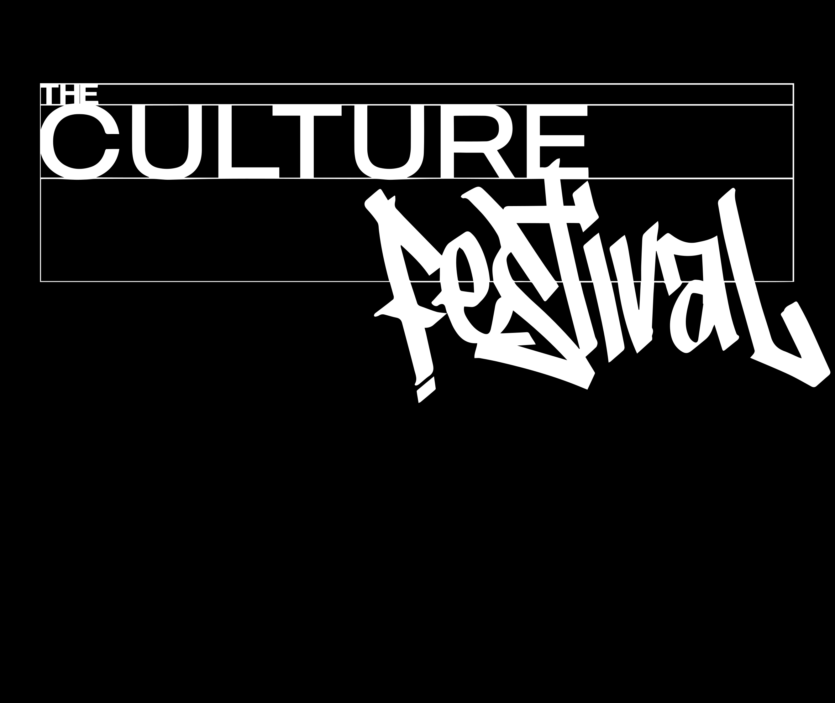 The Culture – České Budějovice